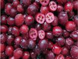Bayas y frutas congeladas; mezclas de bayas y frutas, así como mezclas para compota. - foto 5
