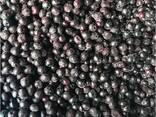 Bayas y frutas congeladas; mezclas de bayas y frutas, así como mezclas para compota. - foto 6