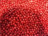 Bayas y frutas congeladas; mezclas de bayas y frutas, así como mezclas para compota. - foto 8
