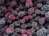 Bayas y frutas congeladas; mezclas de bayas y frutas, así como mezclas para compota. - foto 9