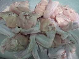 Best Quality Halal Frozen Chicken wholesale