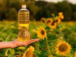 Best Quality refinded sunflower oil wholesale price - фото 1