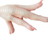 Chicken - photo 3