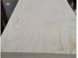 Commercial Plywood - photo 5