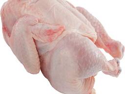 Frozen Chicken Parts