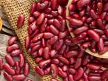 Quality White and Red Beans - photo 2